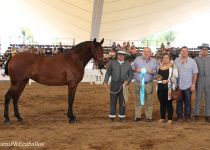 W SONAJERA MFE, DE YEGUADA BATAN , MEJORES MOVIMIENTOS JOVENES DEL CONCURSO. RECIBE GONZALO ARGUESO